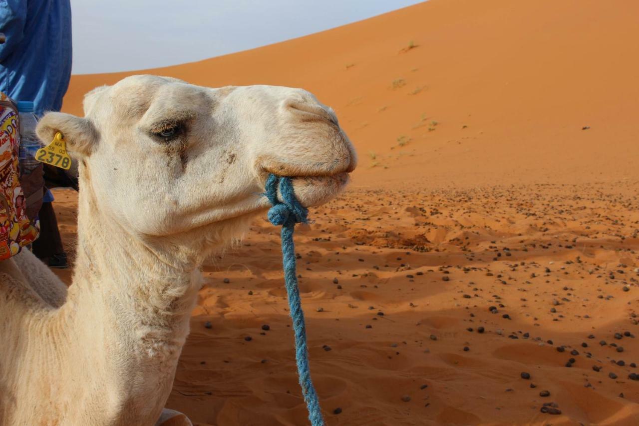 Riad Hotel Les Flamants Merzouga Eksteriør bilde